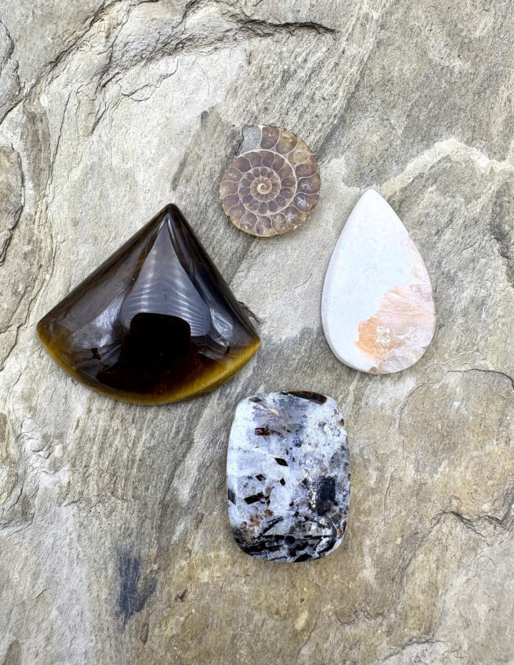 CLOSEOUT LOT 4 Cabochons Astrophylite Tiger Eye Ammonite