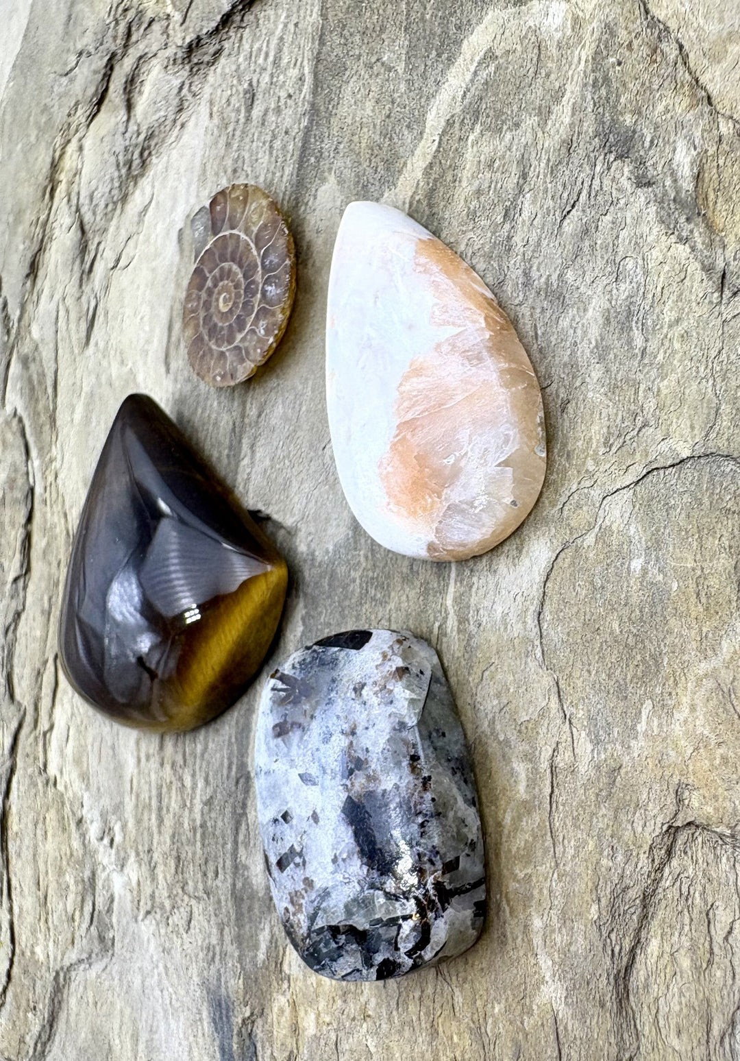 CLOSEOUT LOT 4 Cabochons Astrophylite Tiger Eye Ammonite