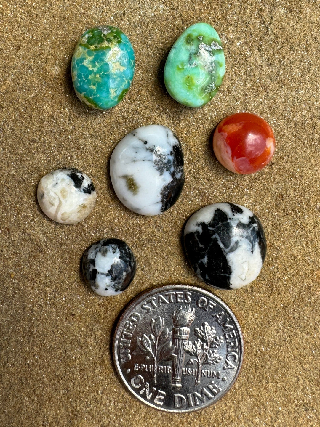 CLOSEOUT LOT 7 Small RARE Cabochons White Buffalo Sonora