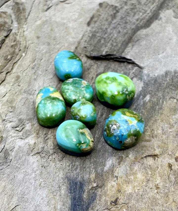 CLOSEOUT LOT of 7 Mini Sonora Gold Turquoise Cabochons