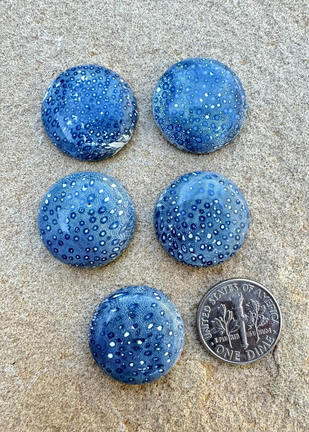 Natural Blue Sponge Coral Calibrated Round Cabochons 20mm