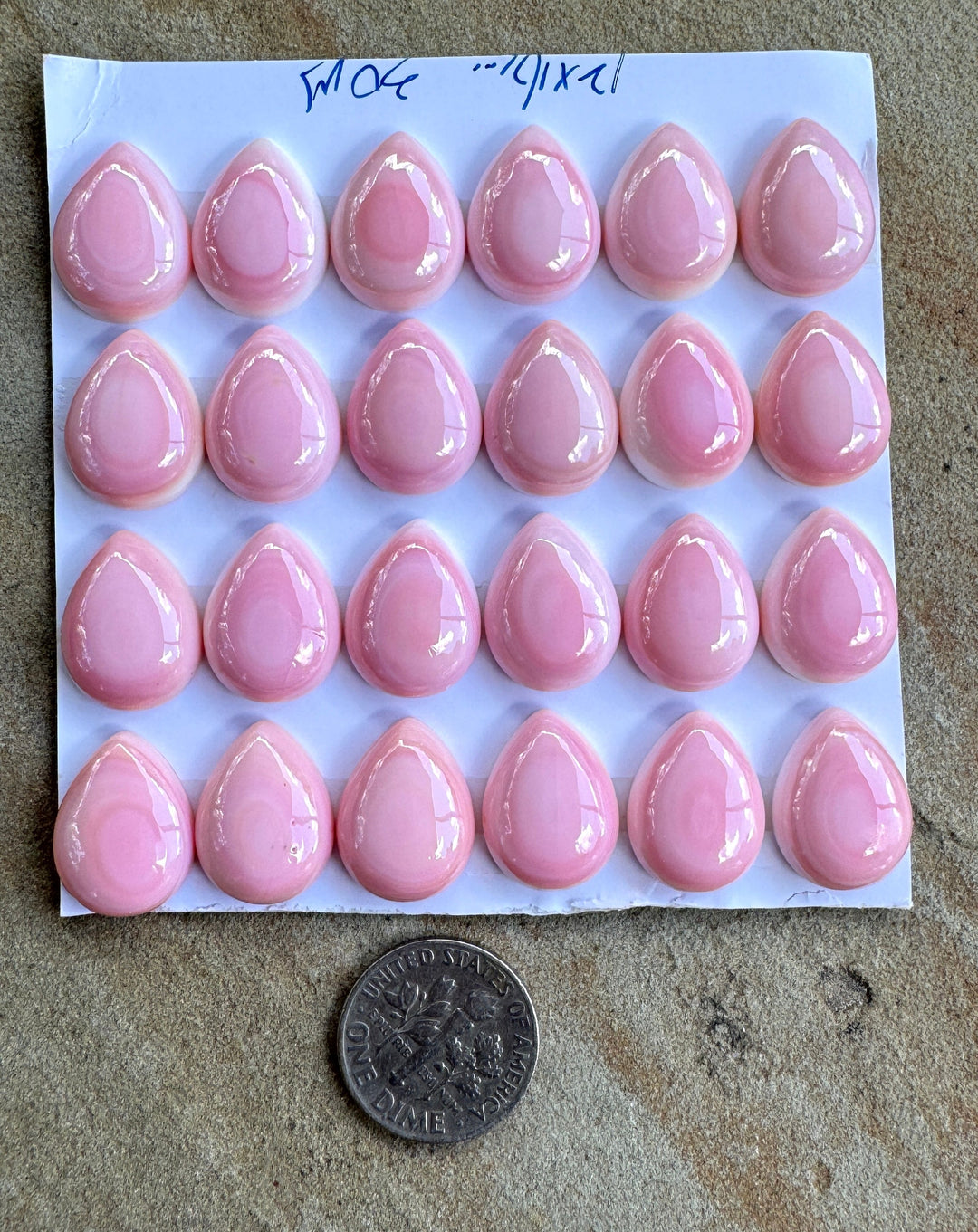 Pink Queen Conch 12x16mm Calibrated Teardrop Cabochon