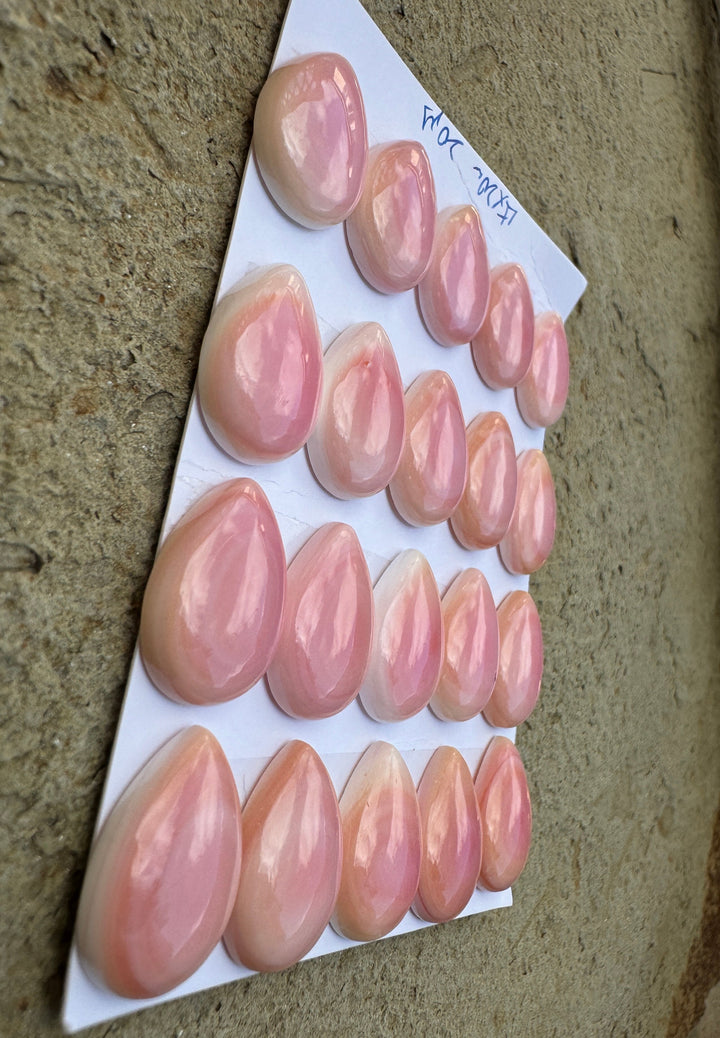 Pink Queen Conch 15x20mm Calibrated Teardrop Cabochon