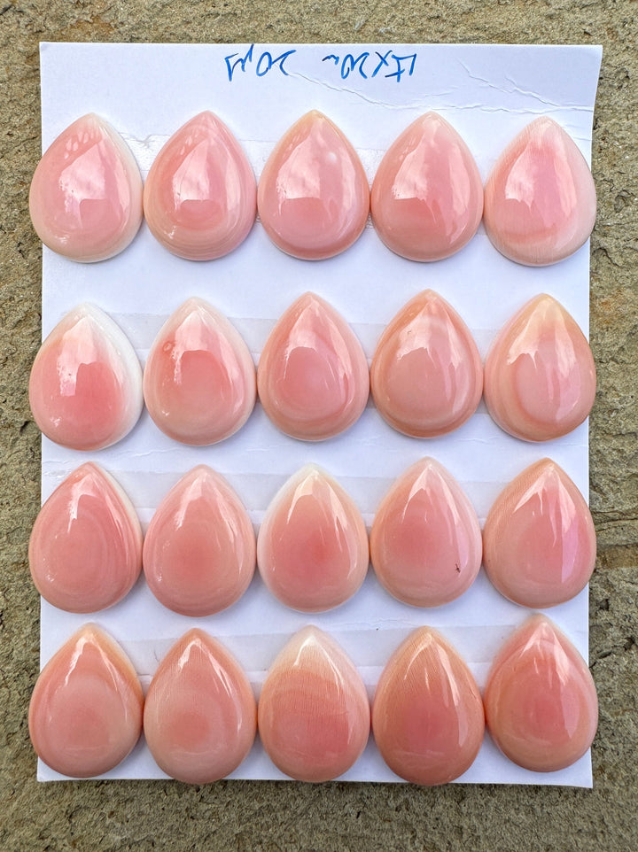 Pink Queen Conch 15x20mm Calibrated Teardrop Cabochon