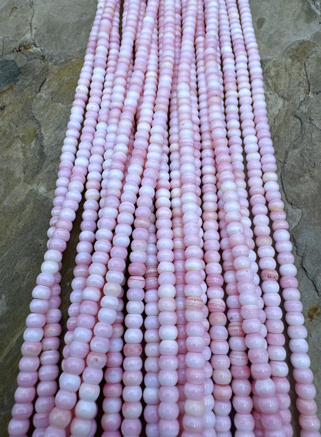 Pink Queen Conch Shell 4mm Rondelle Bead Strand (16 inch