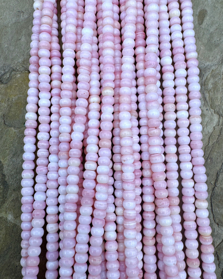 Pink Queen Conch Shell 4mm Rondelle Bead Strand (16 inch