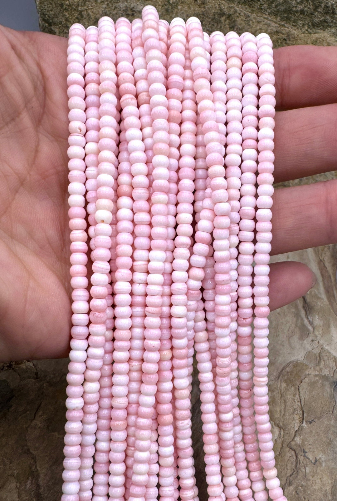 Pink Queen Conch Shell 4mm Rondelle Bead Strand (16 inch