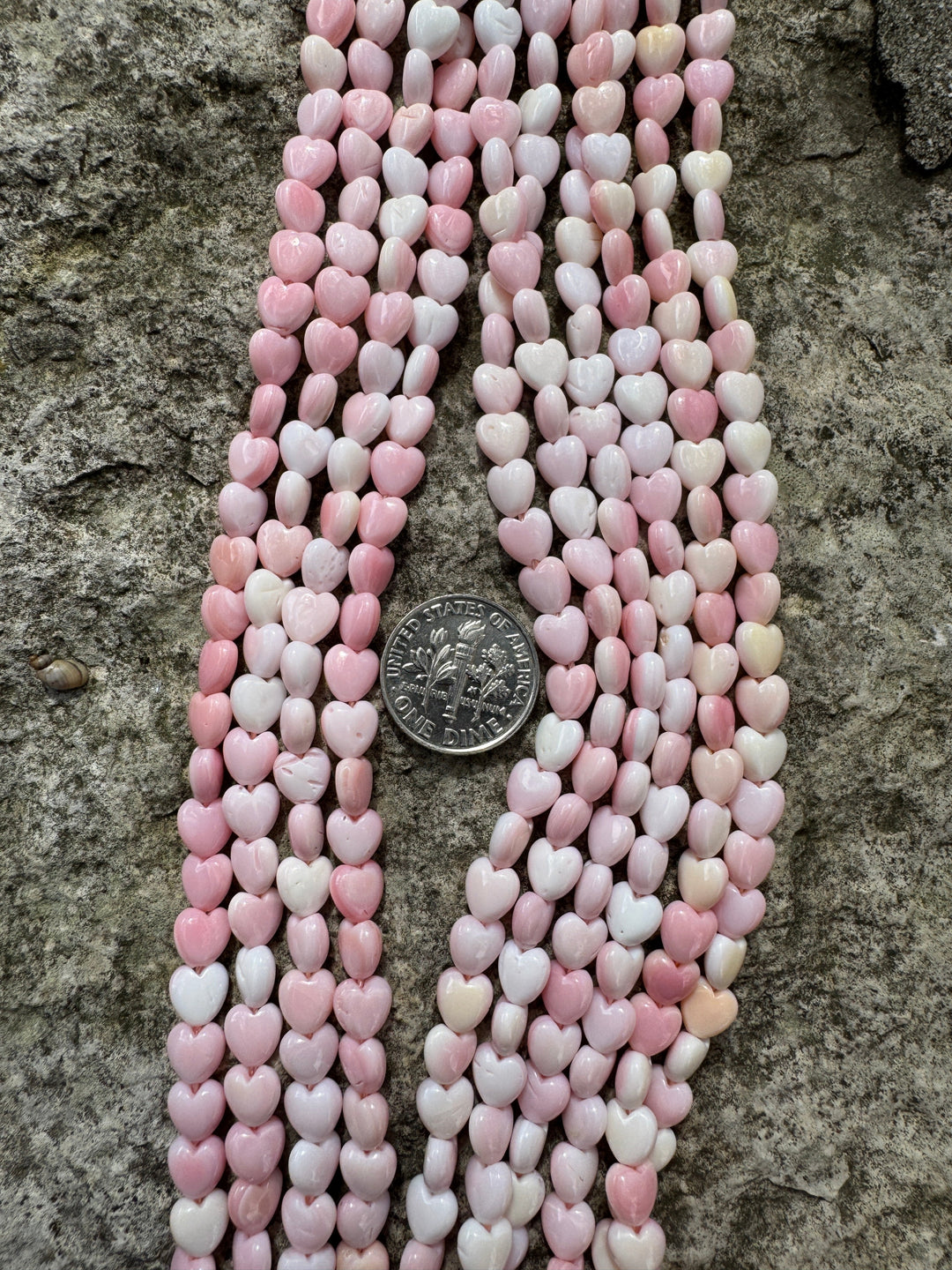 Pink Queen Conch Shell 6mm Heart Bead Strand (16 inch