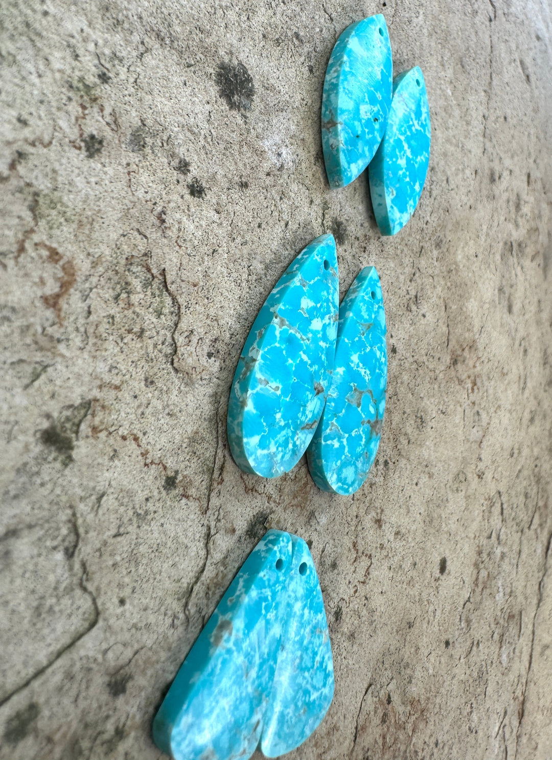 RARE Number 8 Water Web Turquoise (Nevada) Earring Slab