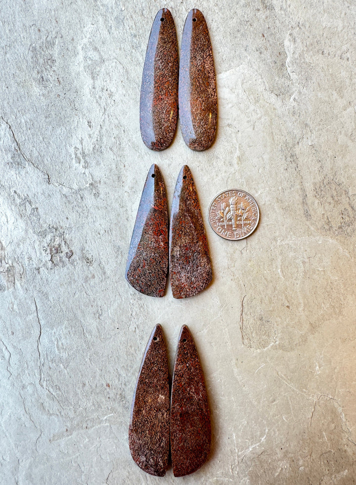 Utah Dinosaur Bone Large Matching Earring Slab Beads