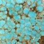 Number 8 Turquoise nugget beads, Number 8 Turquoise cabochons, Number 8 Turquoise rough, Number 8 Turquoise specimens