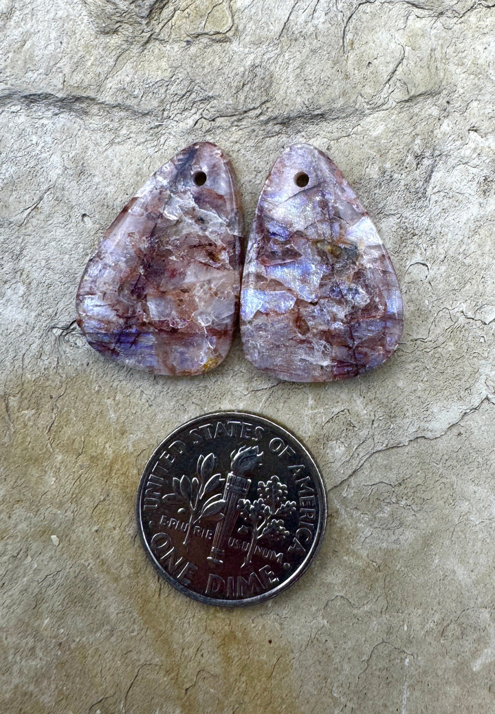 VERY RARE Chatoyant Utah Dinosaur Bone Earring Slab Bead