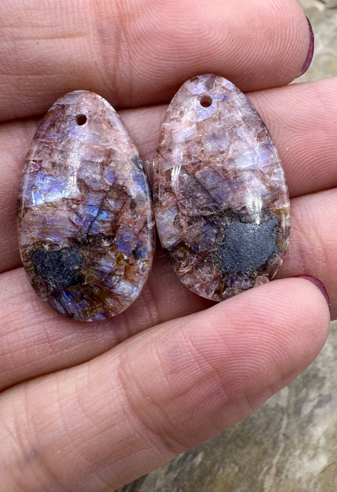 VERY RARE Chatoyant Utah Dinosaur Bone with Pyrite Earring