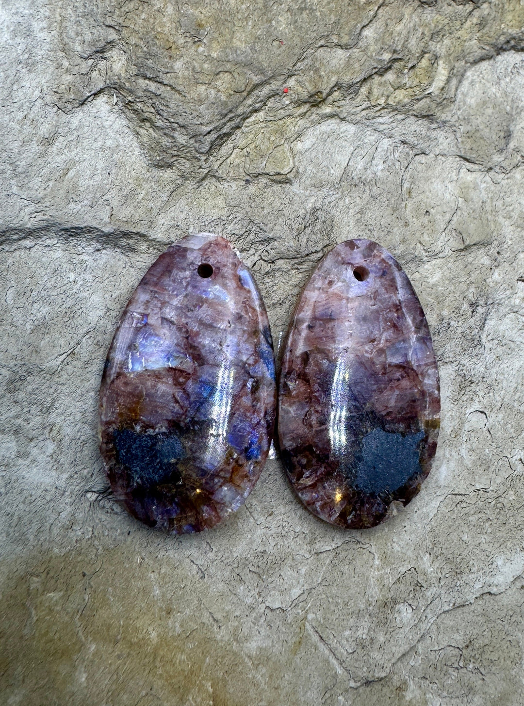 VERY RARE Chatoyant Utah Dinosaur Bone with Pyrite Earring